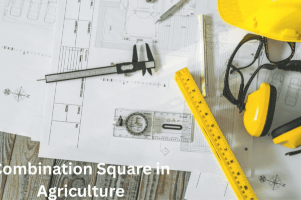 Combination Square in Agriculture: Yield and Quality of the Crop