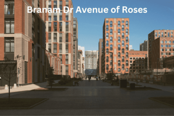 Branam Dr Avenue of Roses: The Budget-Friendly Menu